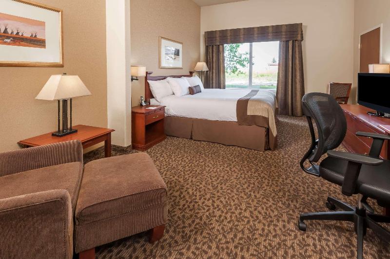 带大床的标准间, Wingate By Wyndham Edmonton West