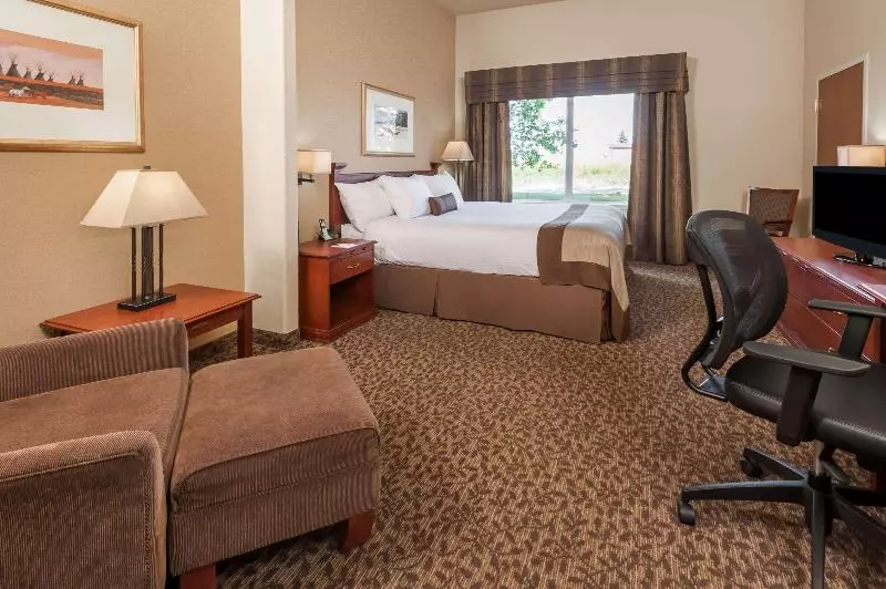 اتاق استاندارد با تخت بزرگ, Wingate By Wyndham Edmonton West