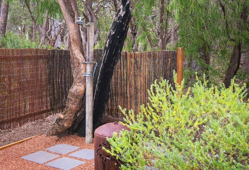 کلبه ییلاقی, Forest Rise Chalets And Lodge