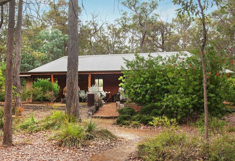 کلبه ییلاقی, Forest Rise Chalets And Lodge