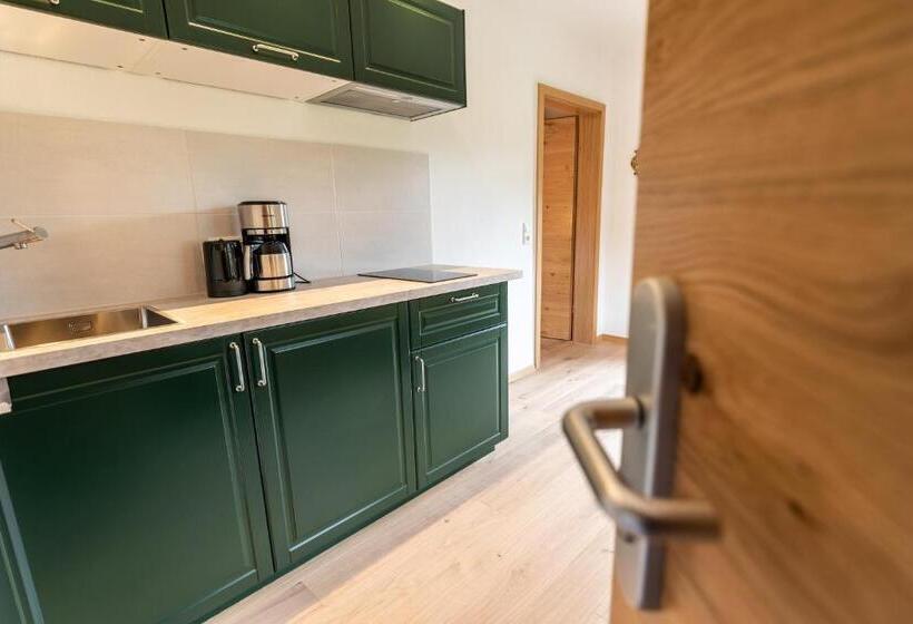 Апартаменты 1 Спальня с Видом, Gästehaus Neu Am Passionstheater