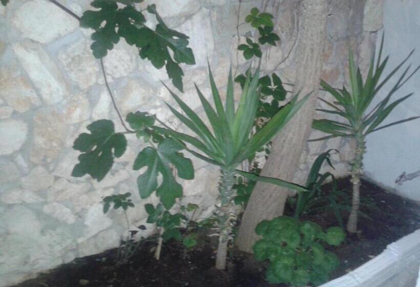 이코노미 룸, Apartments Alissa