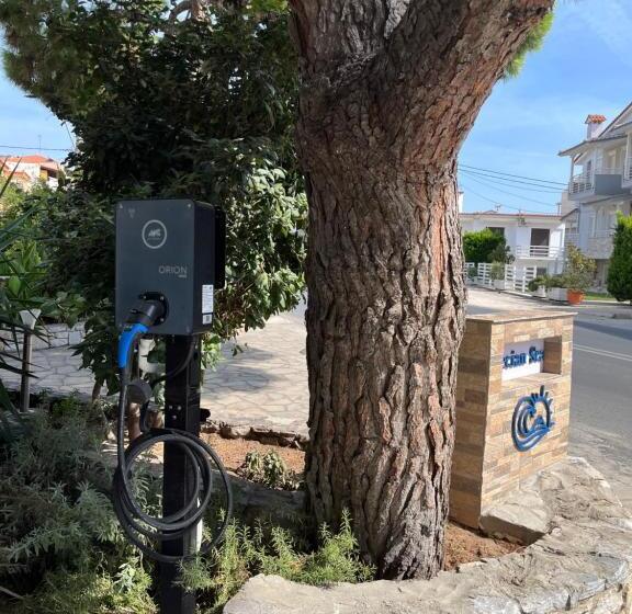 豪华三人间, Grecian Sea