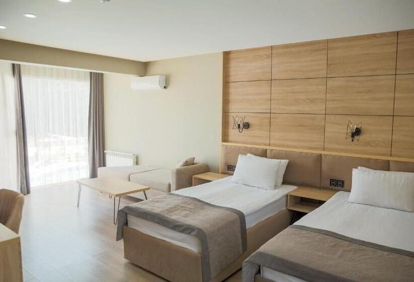 اتاق استاندارد, Riva Hill Resort Lankaran