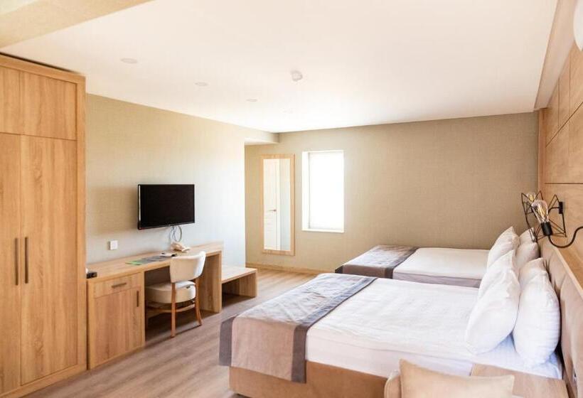 اتاق استاندارد با بالکن, Riva Hill Resort Lankaran