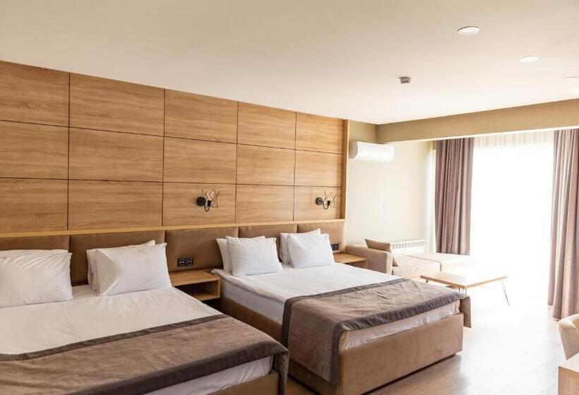 اتاق استاندارد با بالکن, Riva Hill Resort Lankaran