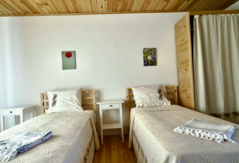 اتاق استاندارد, Dedehan Retreat Otel