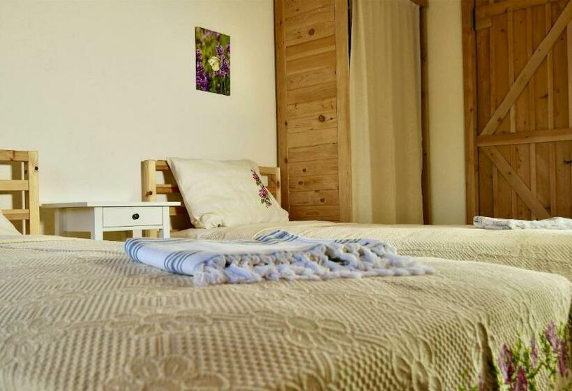 اتاق استاندارد, Dedehan Retreat Otel