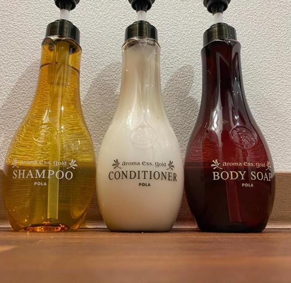 패밀리 룸, Ishigakijima 2020