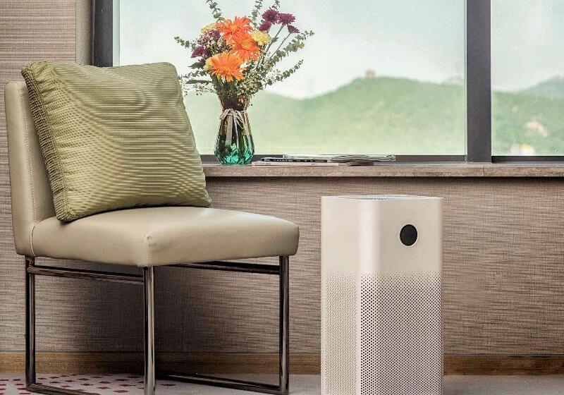 سوییت جونیور, Ema House Hotel Suites