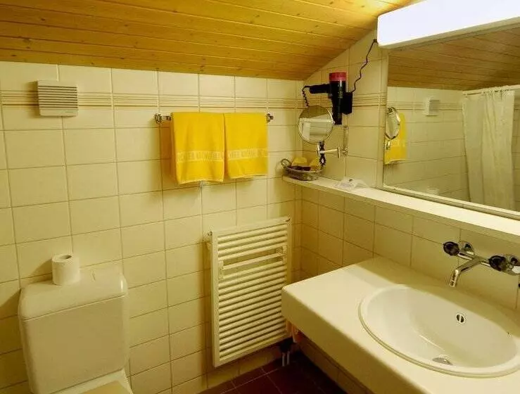 Standard Studio, Krone Lenk
