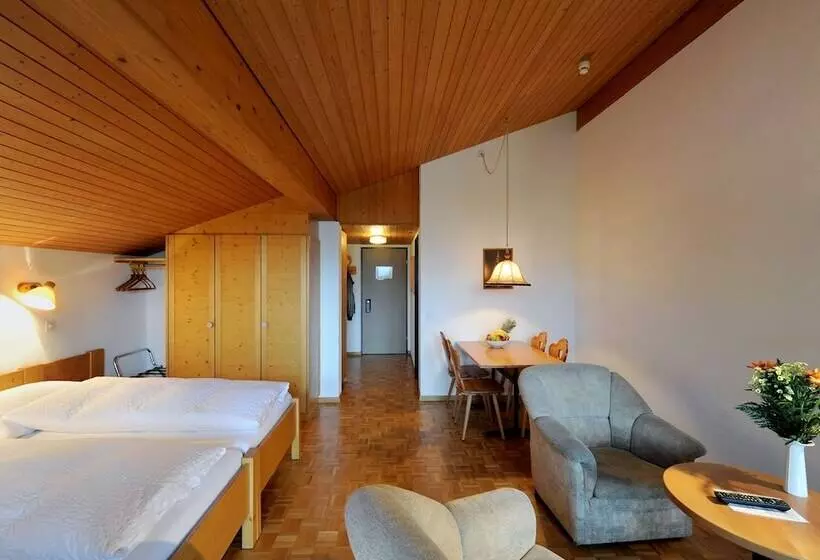 Standard Studio, Krone Lenk