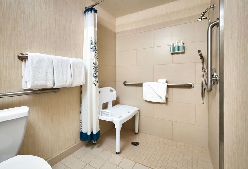 Люкс 2 Спальни, Residence Inn Salt Lake City Cottonwood