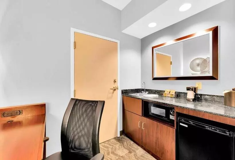 キングサイズベッドのスイートルーム, Springhill Suites By Marriott Tarrytown Westchester County