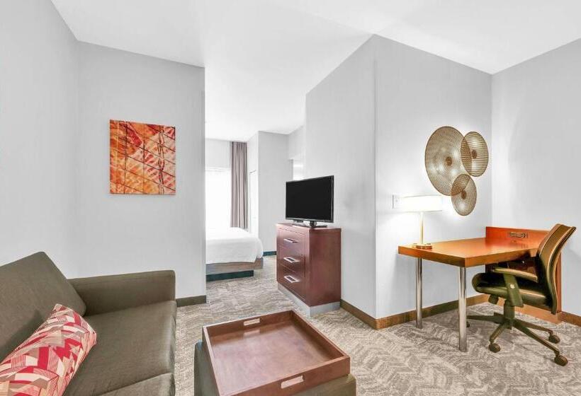 جناح سرير كينج, Springhill Suites By Marriott Tarrytown Westchester County