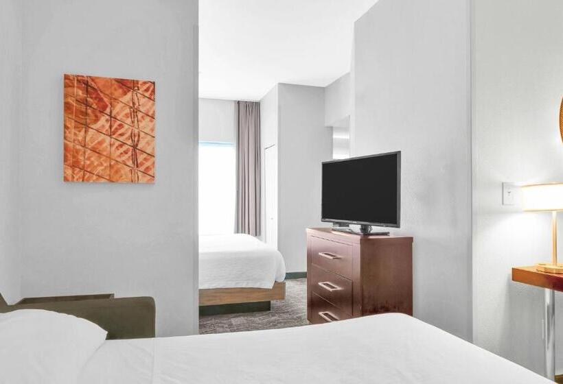 جناح سرير كينج, Springhill Suites By Marriott Tarrytown Westchester County