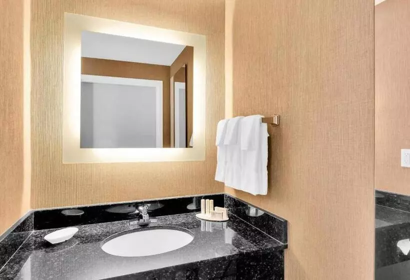 キングサイドベッドのスタンダードワンルーム, Springhill Suites By Marriott Tarrytown Westchester County