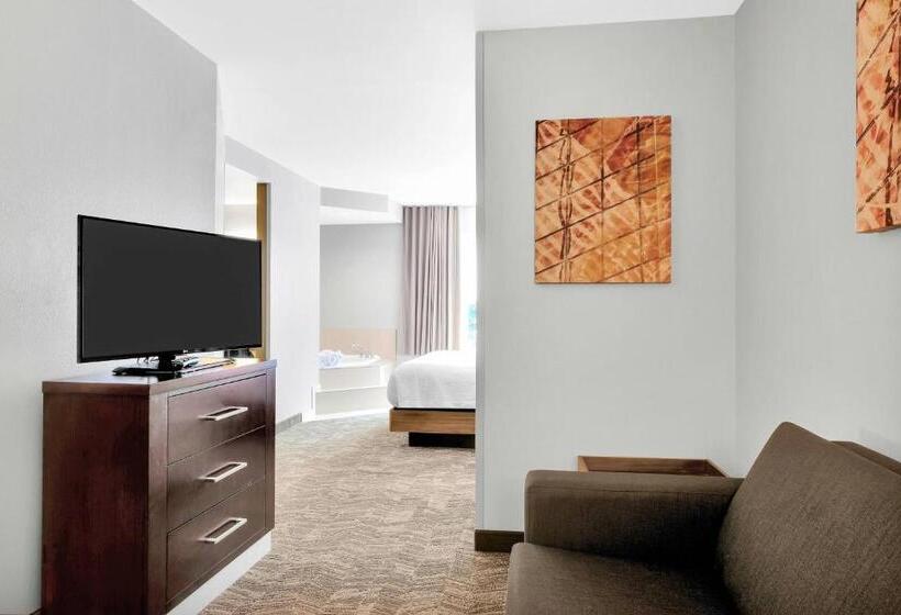 Студио Стандарт Кровать Кинг, Springhill Suites By Marriott Tarrytown Westchester County
