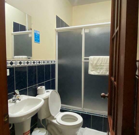 غرفة قياسية فردية, D’ Ruiz