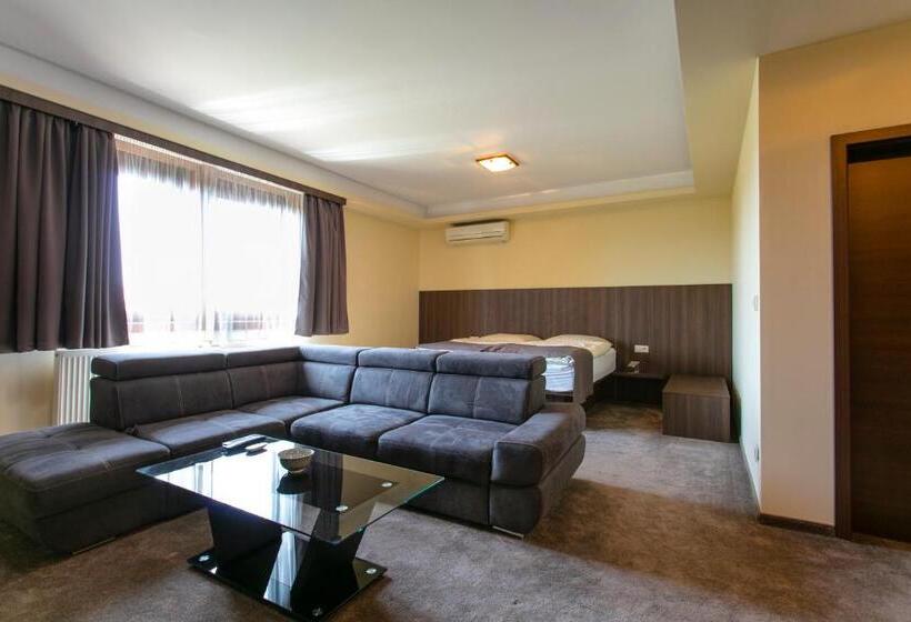 اتاق لوکس خانوادگی, New York Pension