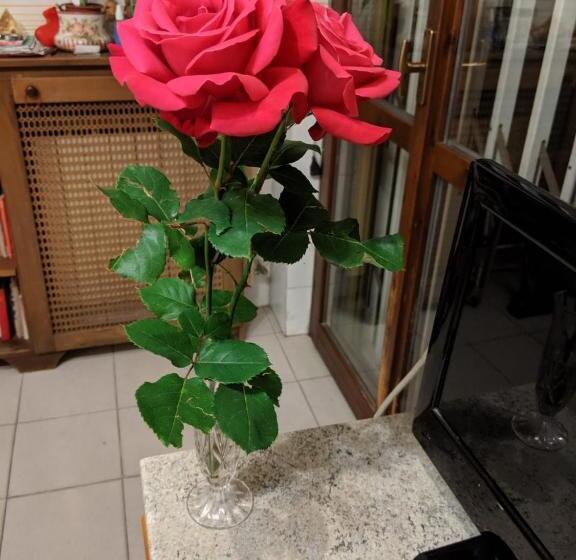 חדר סטנדרט, Casa Arcobaleno