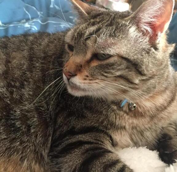 חדר סטנדרט חדר אמבטיה משותף, Casa Arcobaleno