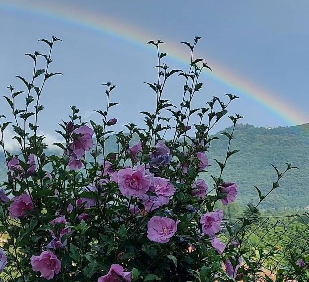 חדר סטנדרט חדר אמבטיה משותף, Casa Arcobaleno