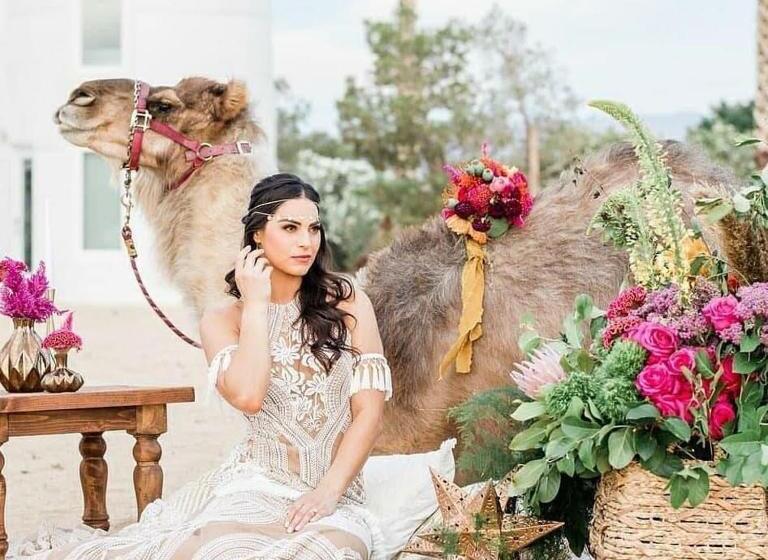 Standard Tent, The Castle House Estate