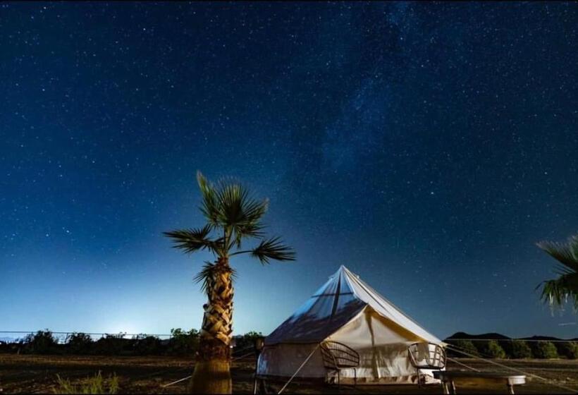 Standard Tent, The Castle House Estate
