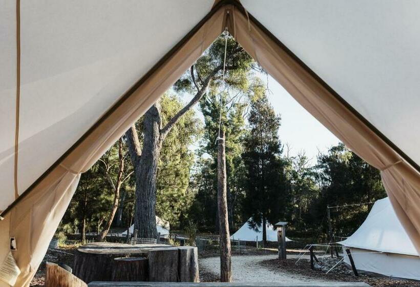Standard Tent, Bay Of Fires Bush Retreat
