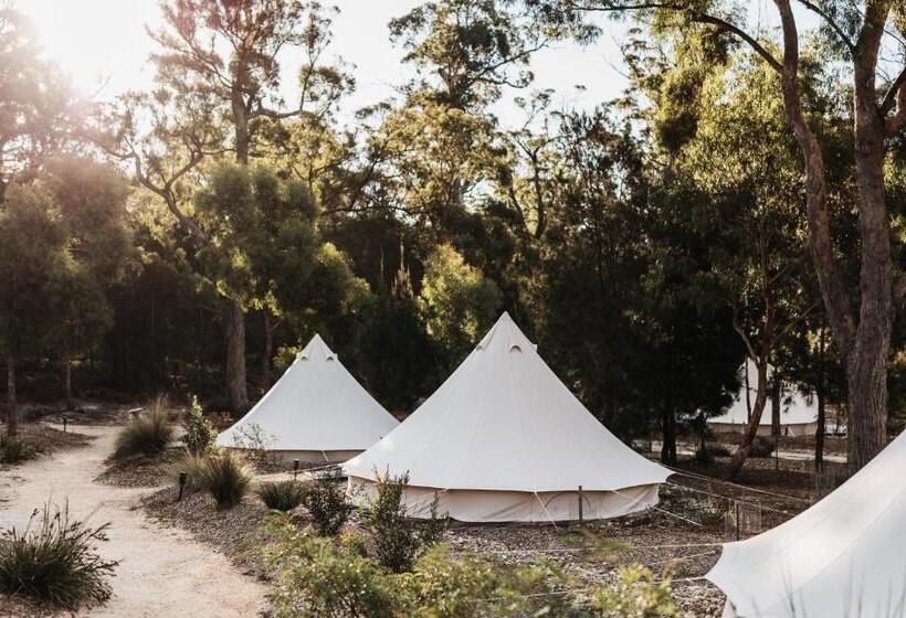 Standard Tent, Bay Of Fires Bush Retreat