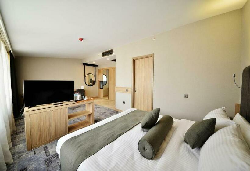 اتاق استاندارد با تخت بزرگ, Capital Center