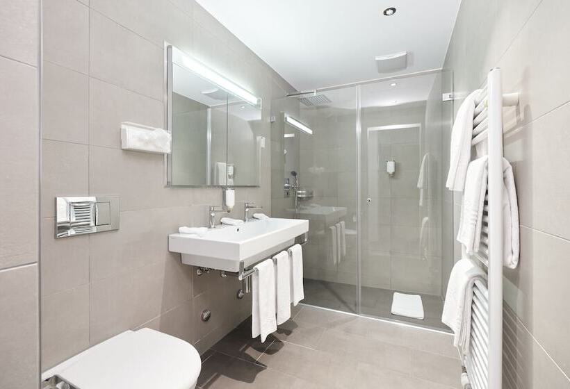 Номер Стандарт Трехместный, Central City Hotel Rochat