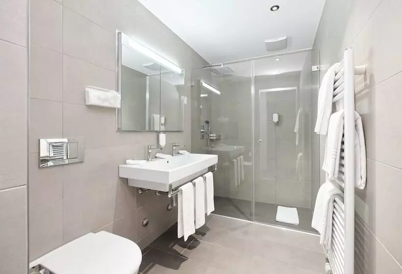 اتاق استاندارد سه نفره, Central City Hotel Rochat