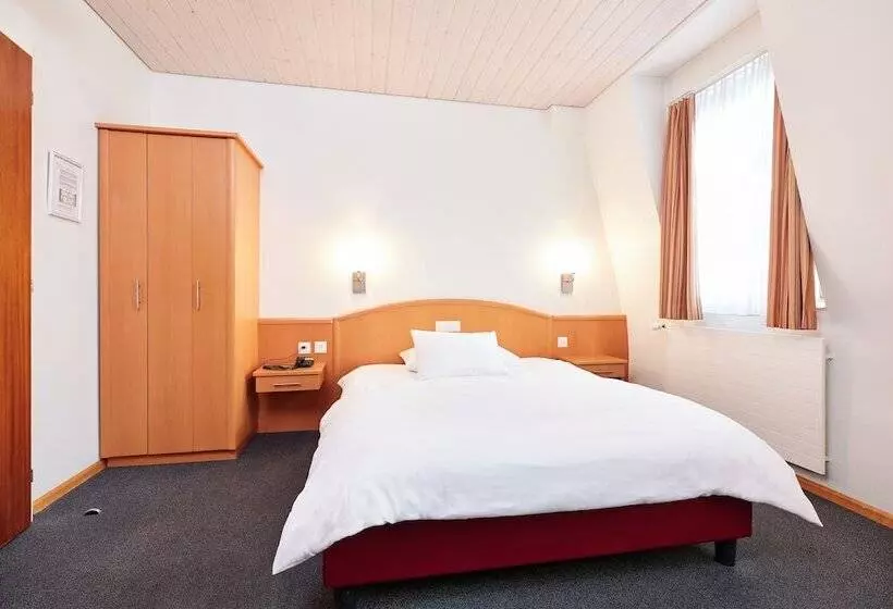 اتاق استاندارد یک نفره, Central City Hotel Rochat