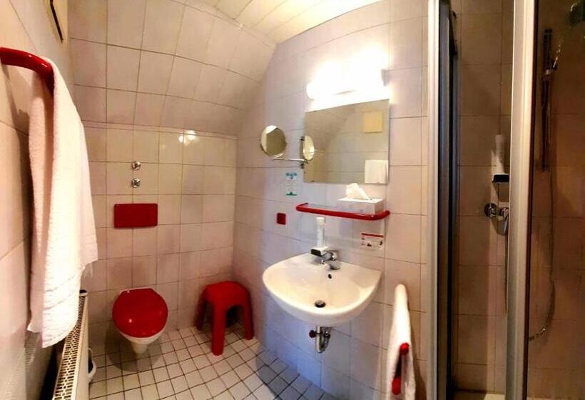 싱글 디럭스 룸, Garni Hotel Maselheimer Hof