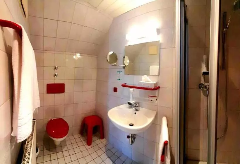 シングルデラックスルーム, Garni Hotel Maselheimer Hof