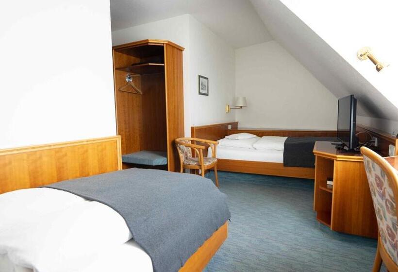 스탠다드 룸, Garni Hotel Maselheimer Hof