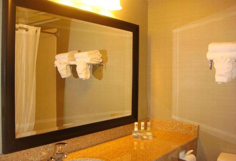 Люкс Кровать Кинг, Country Inn & Suites By Radisson, Norcross, Ga