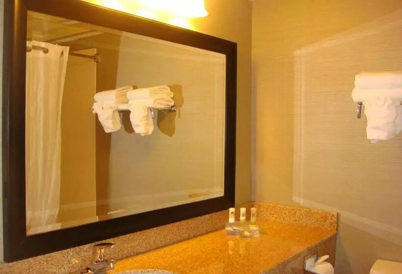 １ベッドルームアパートメント, Country Inn & Suites By Radisson, Norcross, Ga