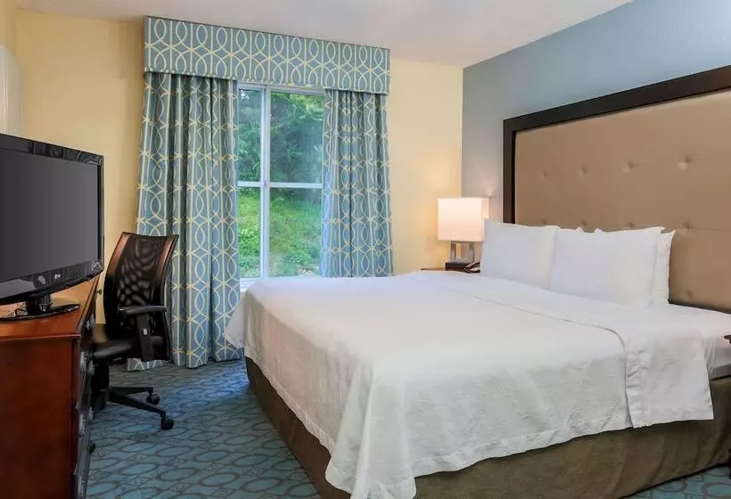 سوئیت پریمیوم, Homewood Suites By Hilton Nashvilleairport