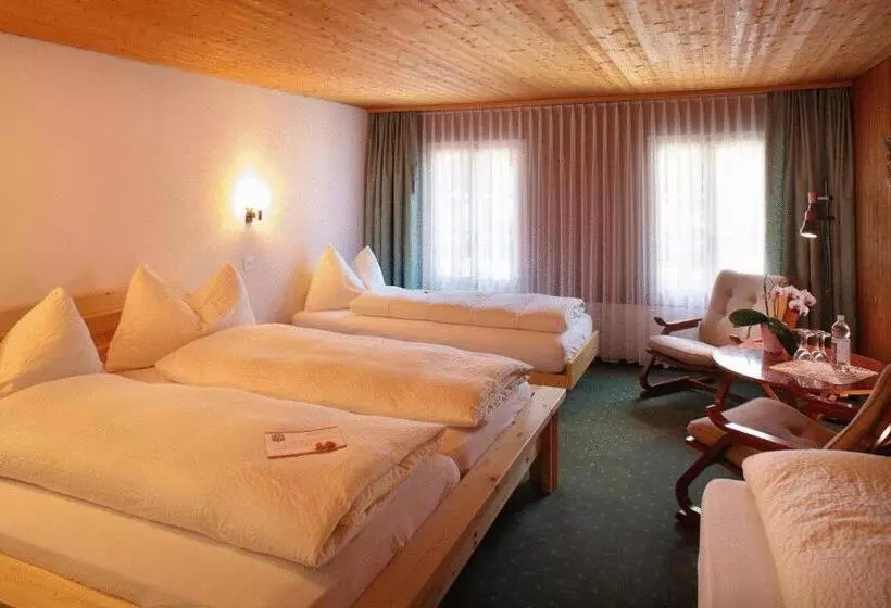 اتاق استاندارد چهار تخته, Schützen Lauterbrunnen