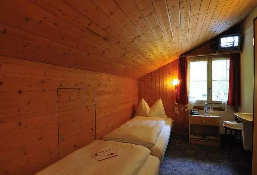 اتاق اکونومی با حمام مشترک, Schützen Lauterbrunnen