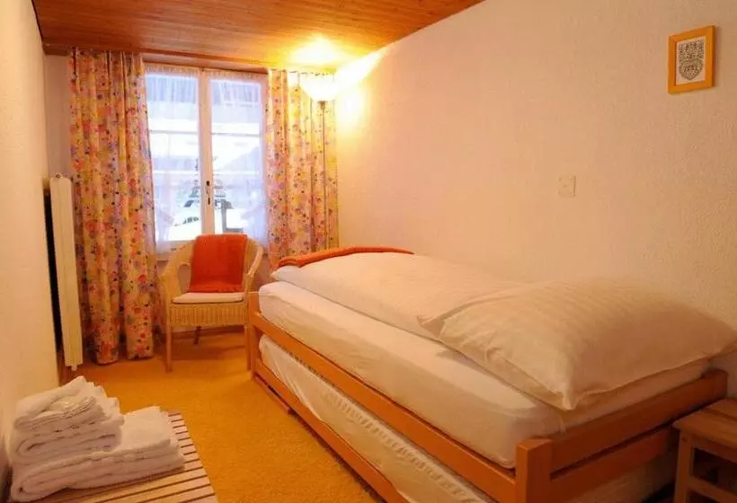 اتاق یک نفره پایه با سرویس بهداشتی مشترک, Schützen Lauterbrunnen
