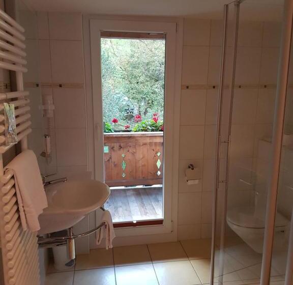 标准单人间, Silberhorn