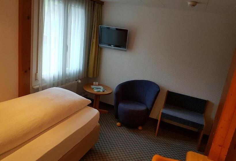 标准单人间, Silberhorn