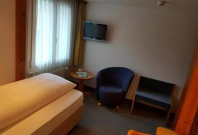 Standard Yhden Hengen Huone, Silberhorn