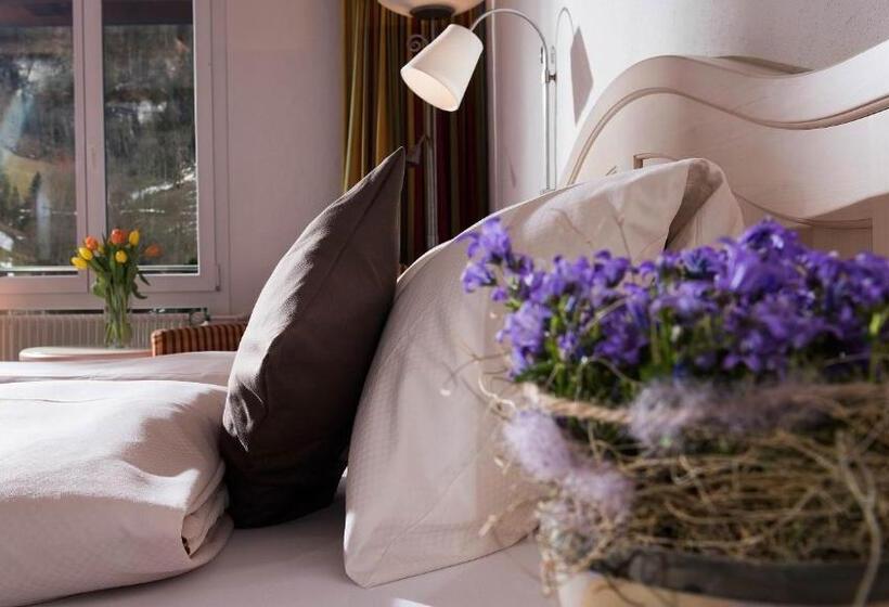 标准间, Silberhorn