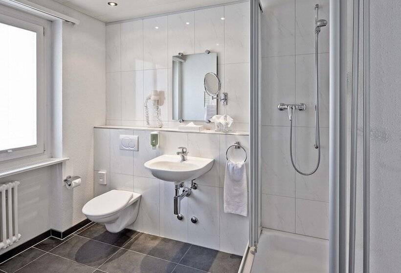 Номер Стандарт Трехместный, Sorell Hotel Sonnental