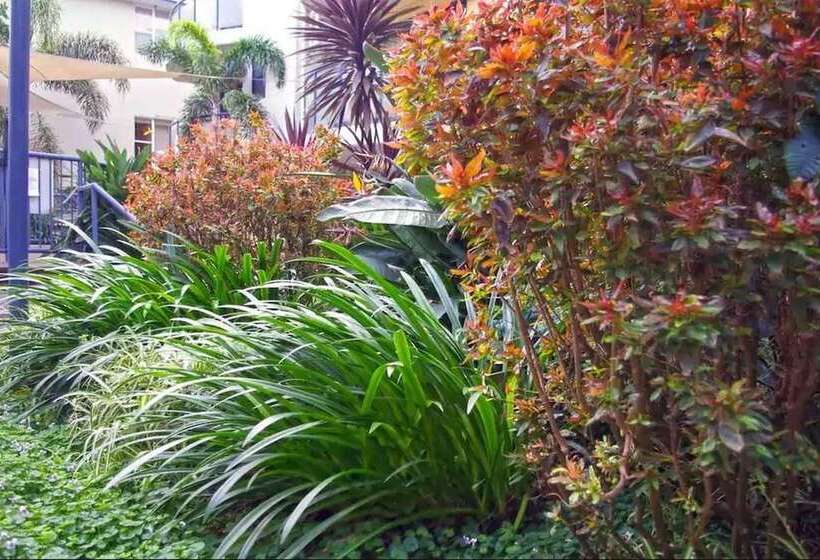 ガーデンビュースタンダードルーム, The Cove Yamba